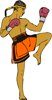 thaiboxer.jpg